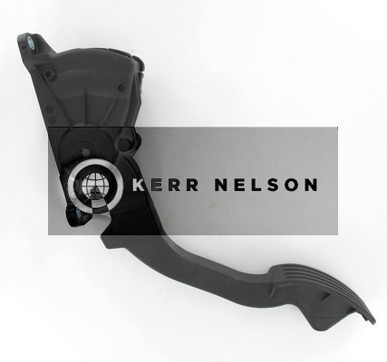 Kerr Nelson KAPS063