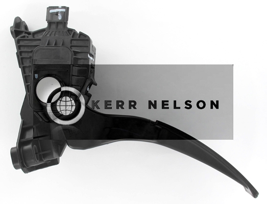 Kerr Nelson KAPS065