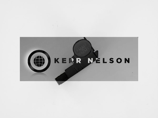 Kerr Nelson SBL233