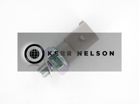 Kerr Nelson SOP161