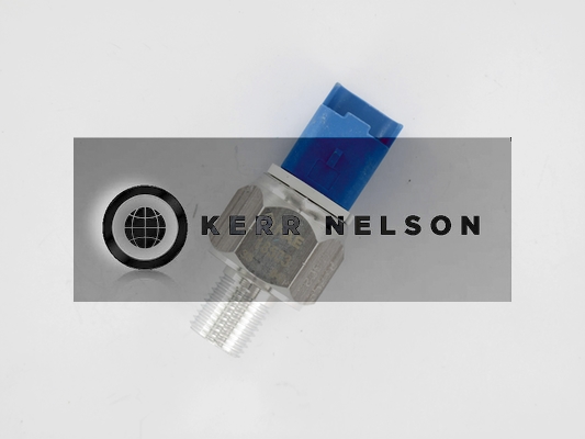 Kerr Nelson SOP162