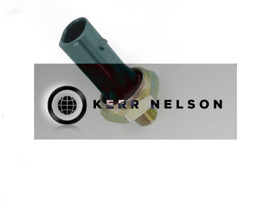 Kerr Nelson SOP163