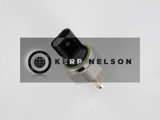 Kerr Nelson SOP166