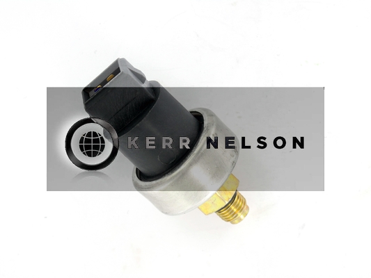 Kerr Nelson SOP168