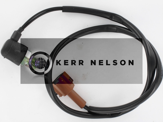 Kerr Nelson SRL178