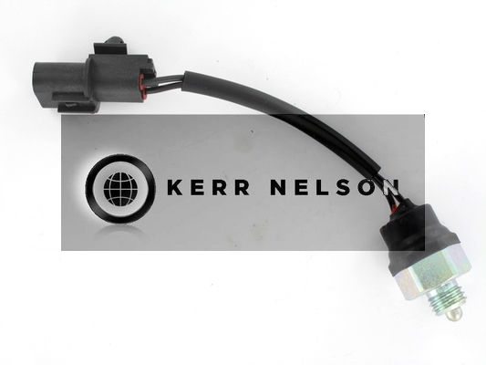 Kerr Nelson SRL179