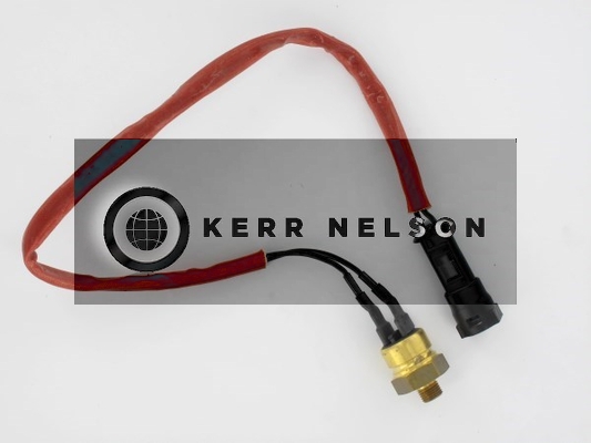 Kerr Nelson STS036