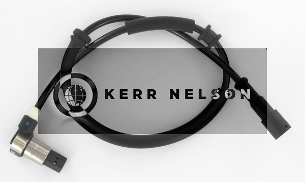 Kerr Nelson ALB1036