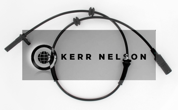 Kerr Nelson ALB1046