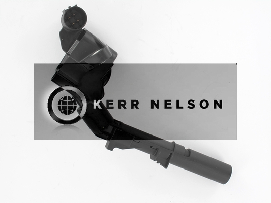 Kerr Nelson IIS579