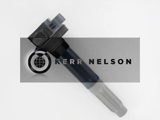 Kerr Nelson IIS583