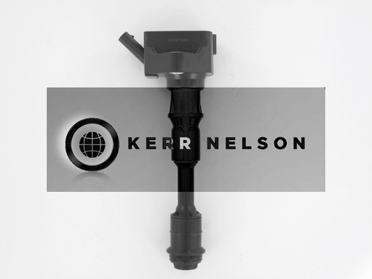 Kerr Nelson IIS584