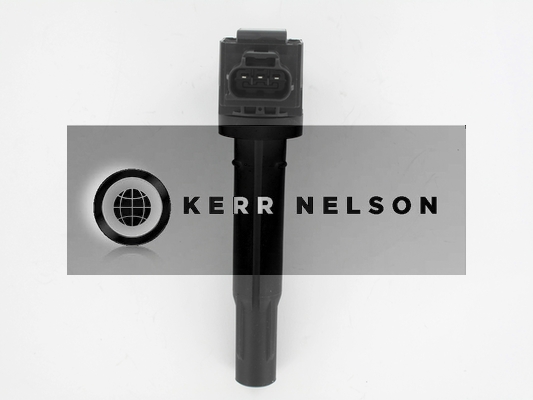 Kerr Nelson IIS585