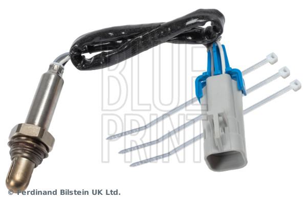 Blue Print ADBP700095