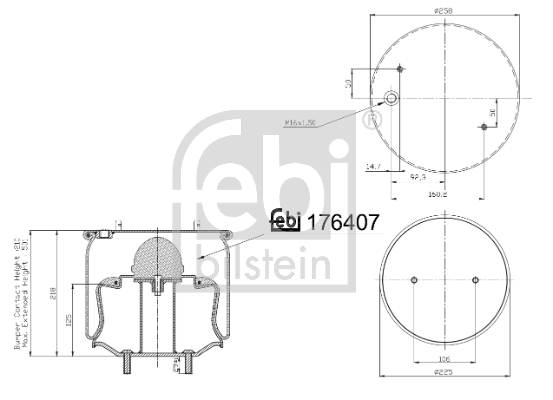 Febi 176407