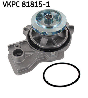 SKF VKPC81815-1