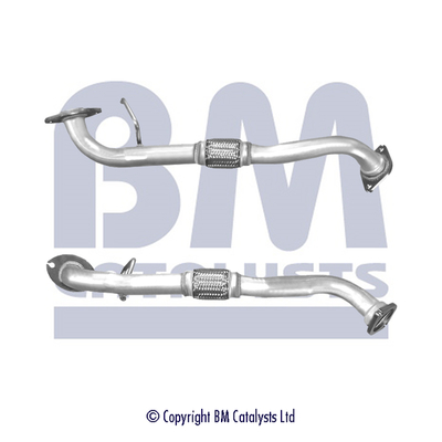 BM Catalysts BM50281