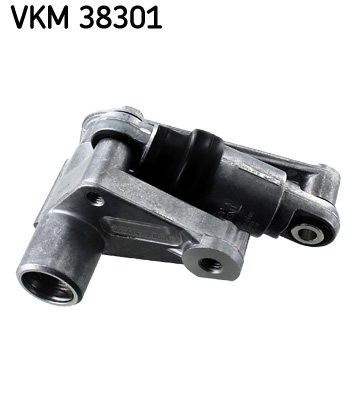 SKF VKM38301