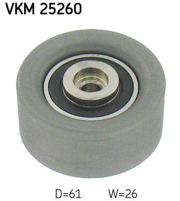 SKF VKM25260