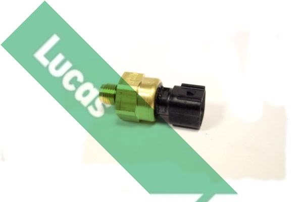 Lucas SOB7005