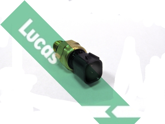 Lucas SOB7004