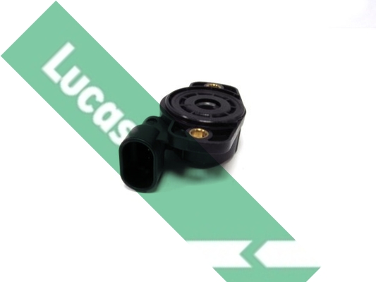 Lucas SEB7771