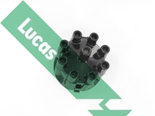 Lucas DDB5019