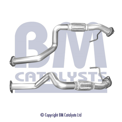 BM Catalysts BM50846