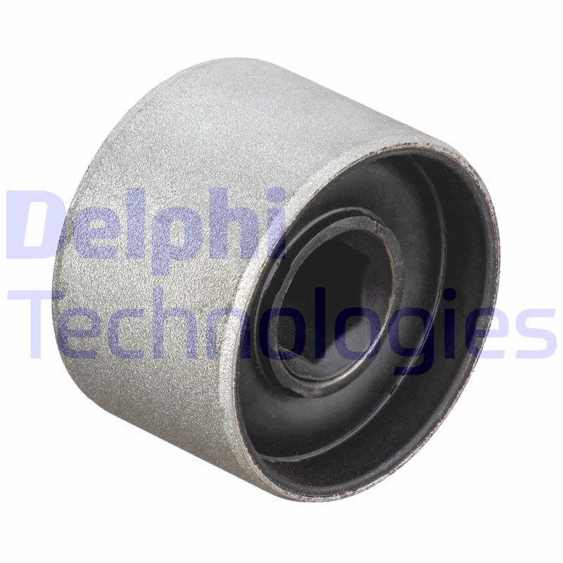 Delphi TD1791W