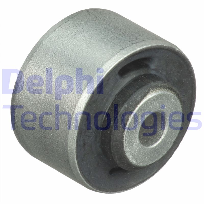 Delphi TD1062W