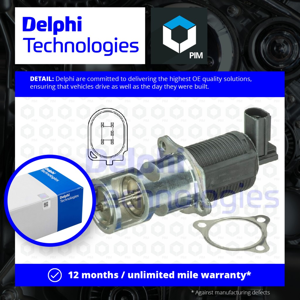 Delphi EGR Valve EG10402-12B1 [PM1746186]