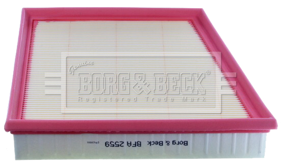 Borg & Beck BFA2559