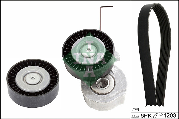 INA 529032010 Drive Belt Kit