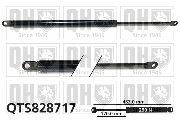 Quinton Hazell QTS828717 Gas Spring Convertible Top