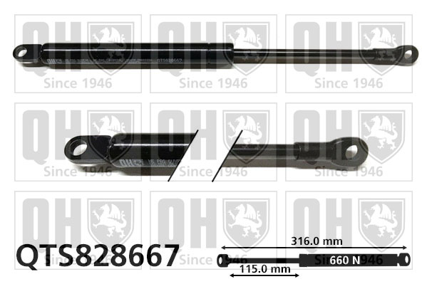 Quinton Hazell QTS828667 Gas Spring Convertible Top