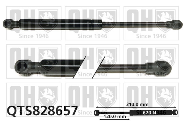 Quinton Hazell QTS828657
