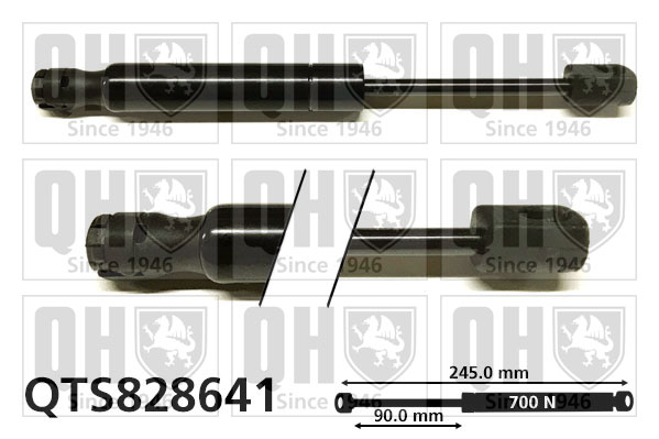 Quinton Hazell QTS828641 Gas Spring Convertible Top