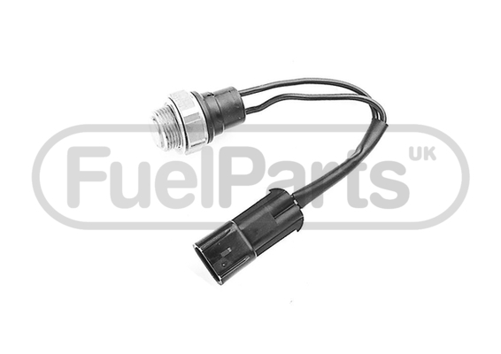 Fuel Parts RFS3053