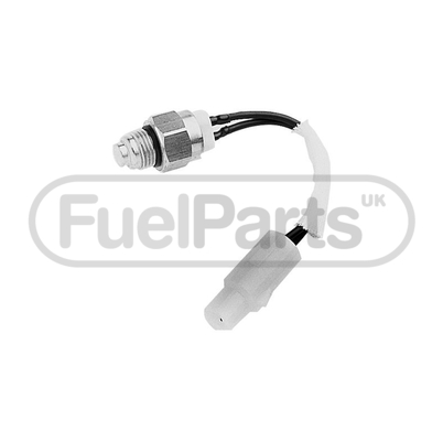 Fuel Parts RFS3110