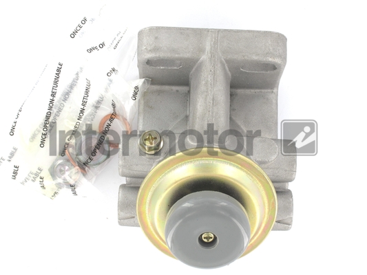 Intermotor 89772 Hand Feed Pump