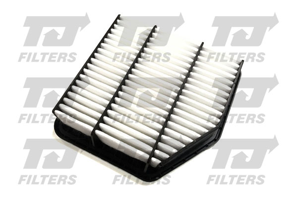 TJ Filters Air Filter QFA1017 [PM1648364]
