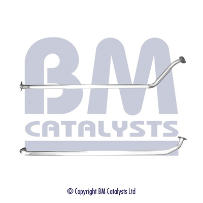 BM Catalysts BM50847
