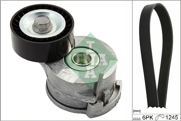 INA 529029110 Drive Belt Kit