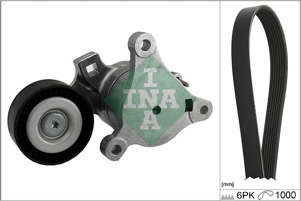 INA 529021410 Drive Belt Kit