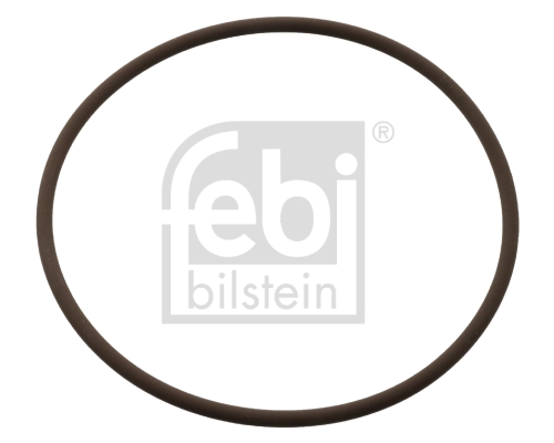 Febi 104848 Seal Ring, coolant pipe