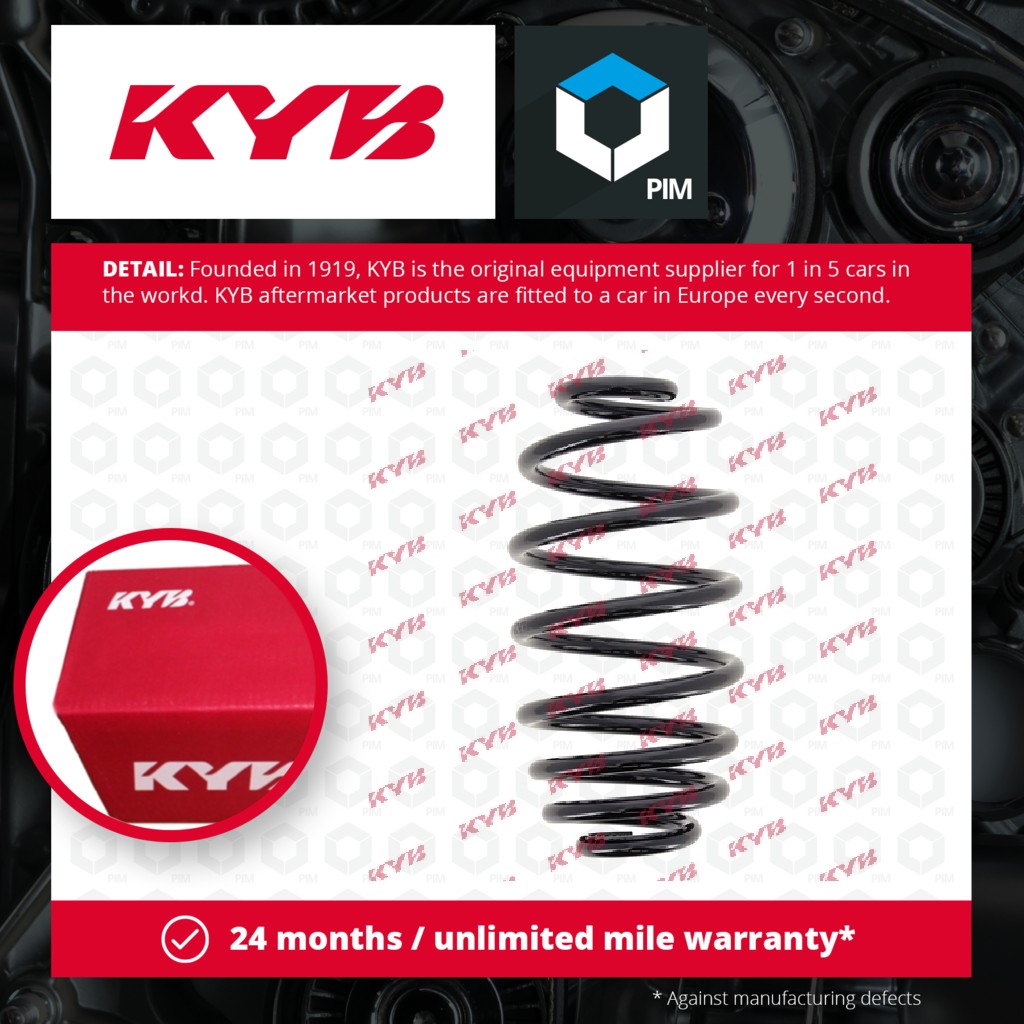 KYB Coil Spring Rear RA6160 [PM1498062]