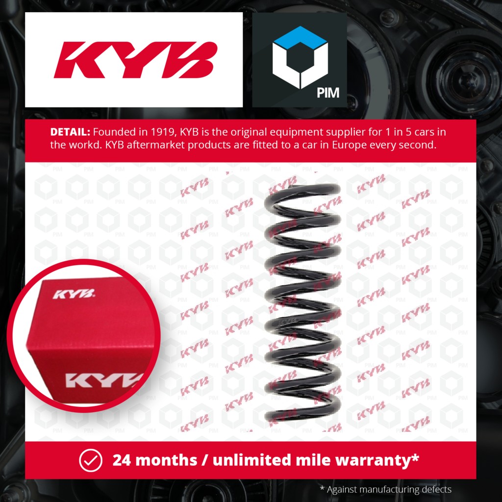KYB Coil Spring Rear RA6135 [PM1498037]
