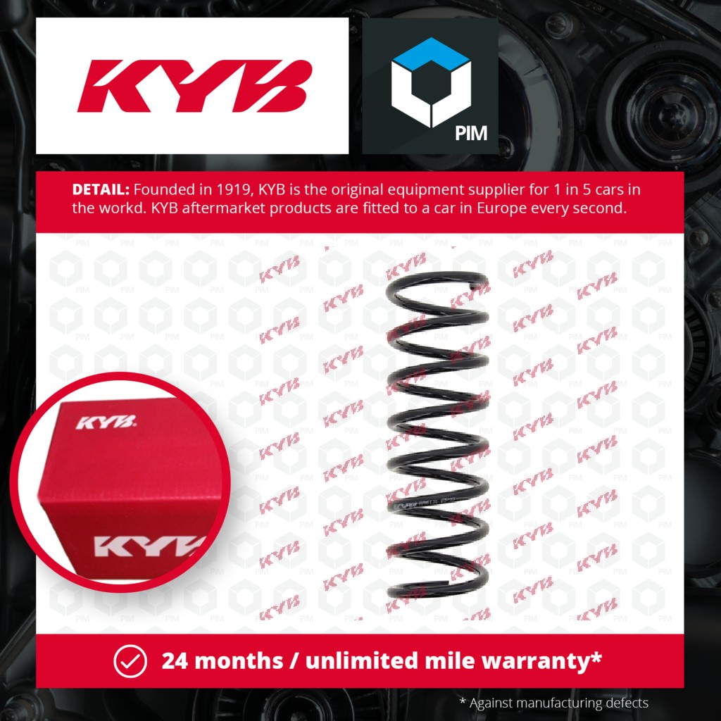 KYB Coil Spring Rear RA6131 [PM1498033]