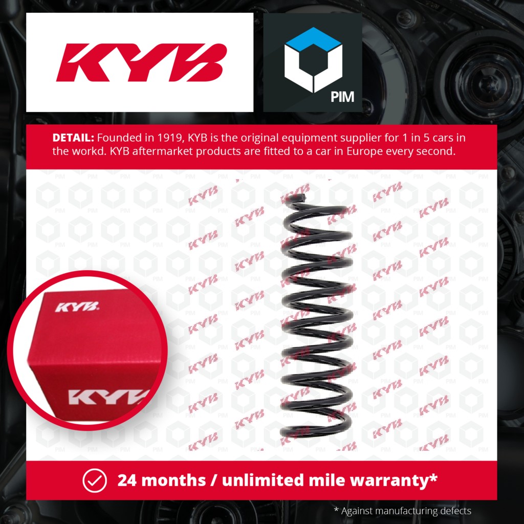 KYB Coil Spring Rear RA6125 [PM1498027]