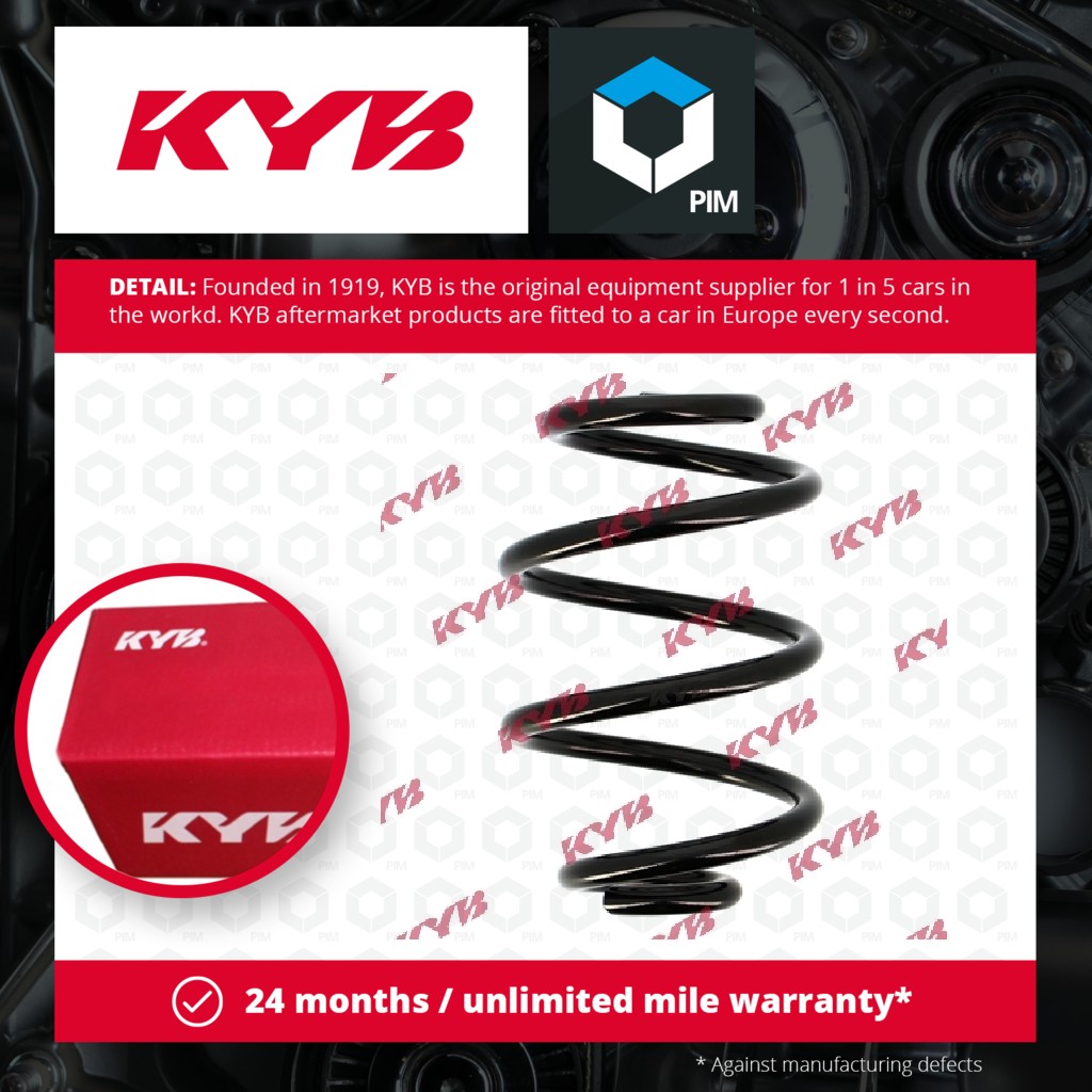 KYB Coil Spring Rear RA5091 [PM1497908]